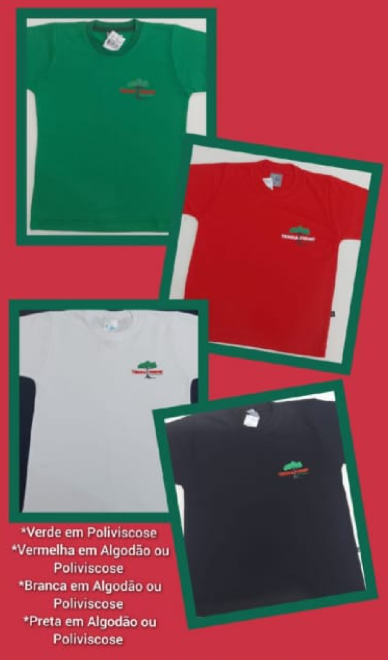 Camiseta Manga Curta