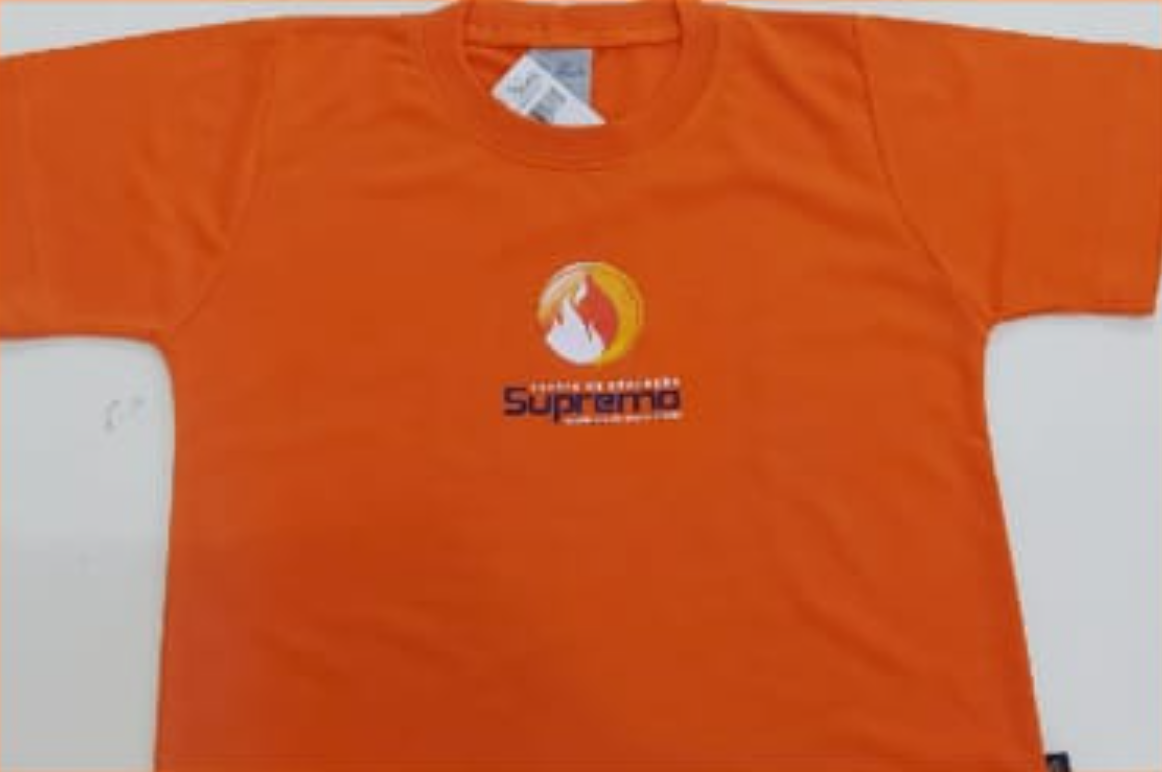 Camiseta Manga Curta